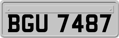BGU7487