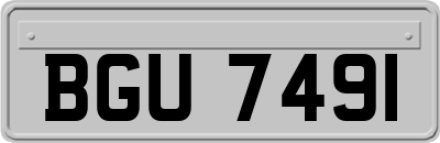 BGU7491