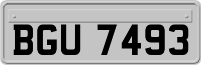 BGU7493