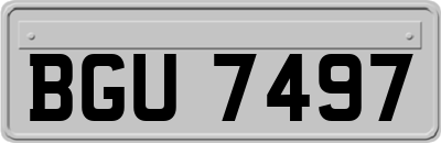 BGU7497