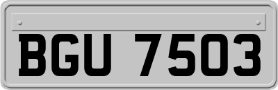 BGU7503