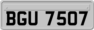 BGU7507