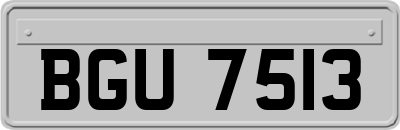 BGU7513