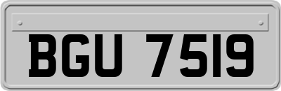 BGU7519