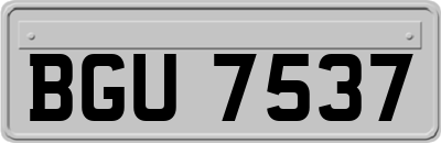 BGU7537
