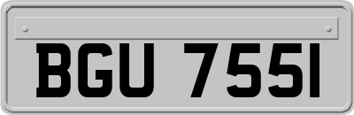BGU7551
