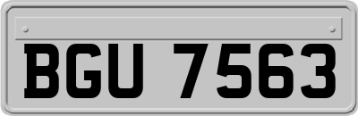 BGU7563