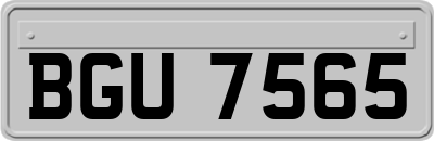 BGU7565