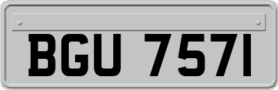 BGU7571
