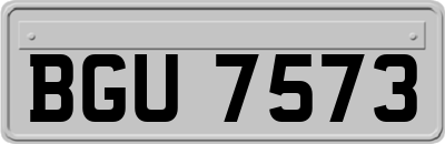 BGU7573