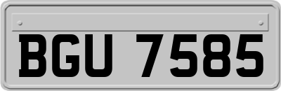 BGU7585