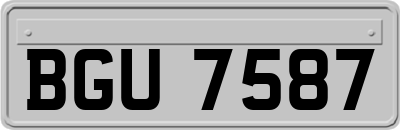 BGU7587
