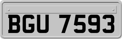 BGU7593