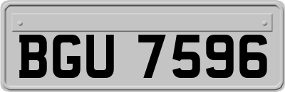 BGU7596