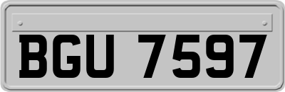 BGU7597