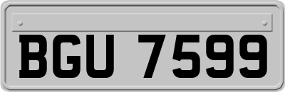 BGU7599