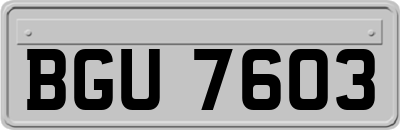BGU7603