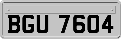 BGU7604