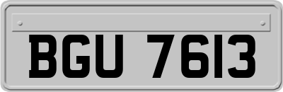 BGU7613