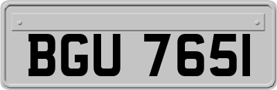 BGU7651