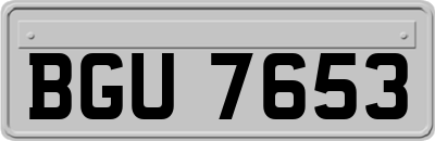 BGU7653