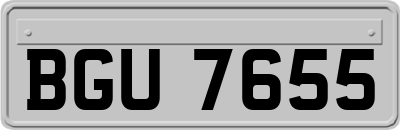 BGU7655
