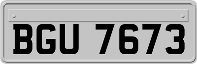 BGU7673