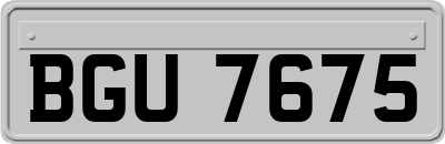 BGU7675