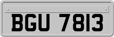 BGU7813