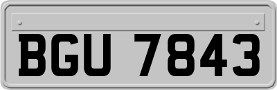 BGU7843