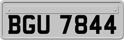 BGU7844