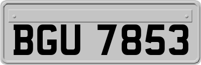 BGU7853