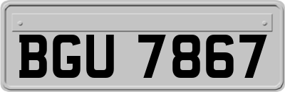 BGU7867