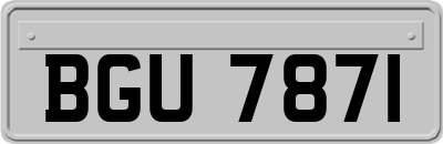 BGU7871