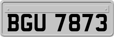 BGU7873