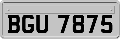 BGU7875