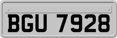 BGU7928