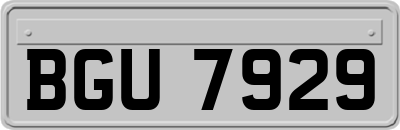 BGU7929