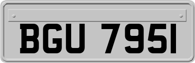 BGU7951