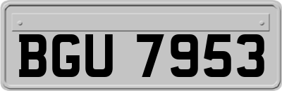 BGU7953