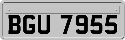 BGU7955