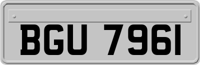 BGU7961
