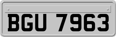 BGU7963