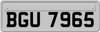 BGU7965