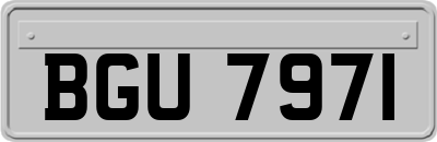 BGU7971