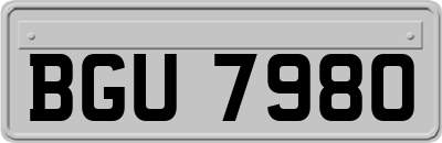 BGU7980