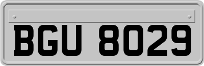 BGU8029