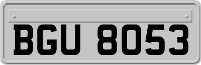BGU8053