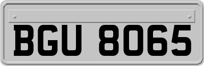 BGU8065