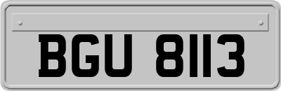 BGU8113